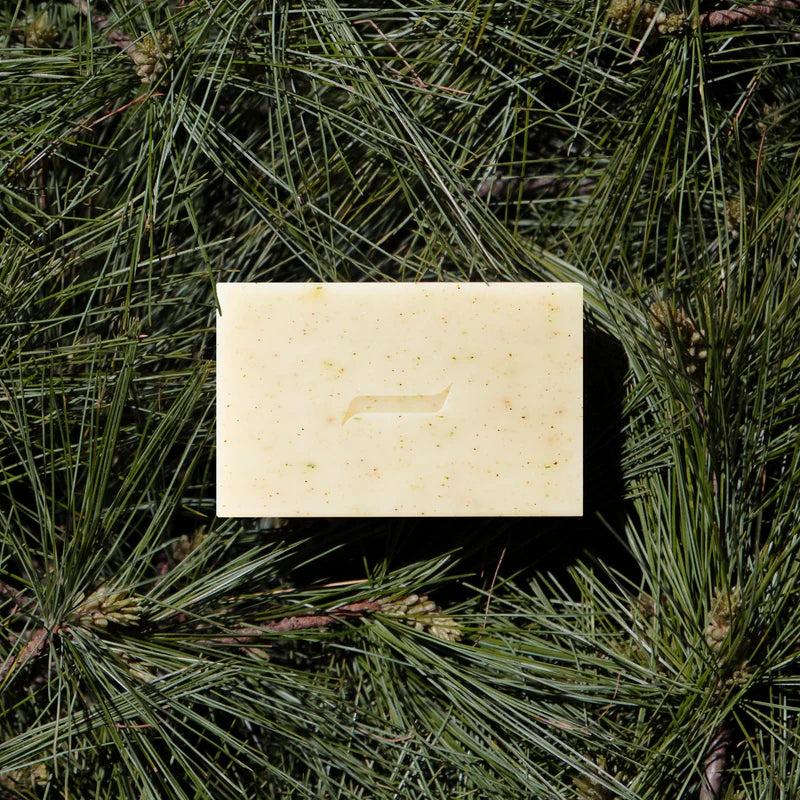 Patchouli and Pine Bar Soap